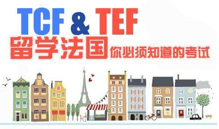 tcf法語(yǔ)班多少錢(qián)?
