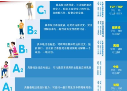tef法語課程有什么？