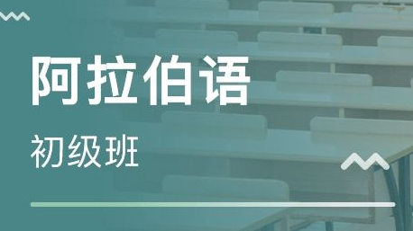 零起點實用阿拉伯語哪里有？