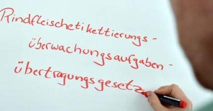 德語(yǔ)基礎(chǔ)學(xué)習(xí)資料有什么?