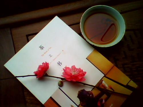 德語(yǔ)入門(mén)從零開(kāi)始學(xué)語(yǔ)法之名詞