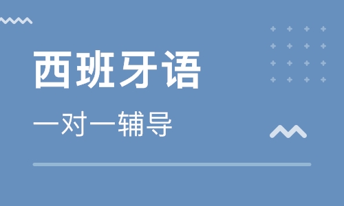 西班牙語精品一對(duì)一課程