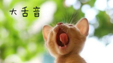學(xué)習(xí)西班牙語(yǔ)如何入門